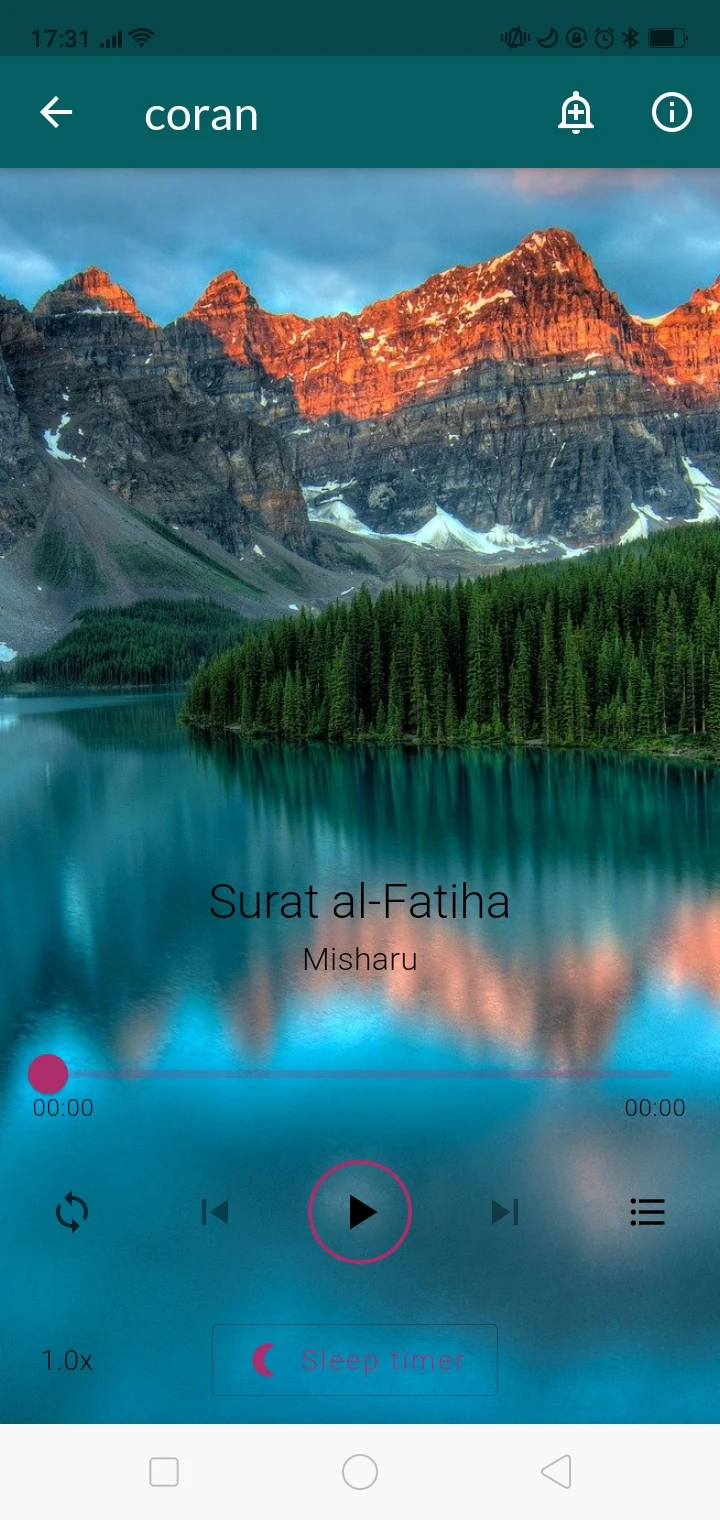 Quran for sleeping & relaxing screenshot