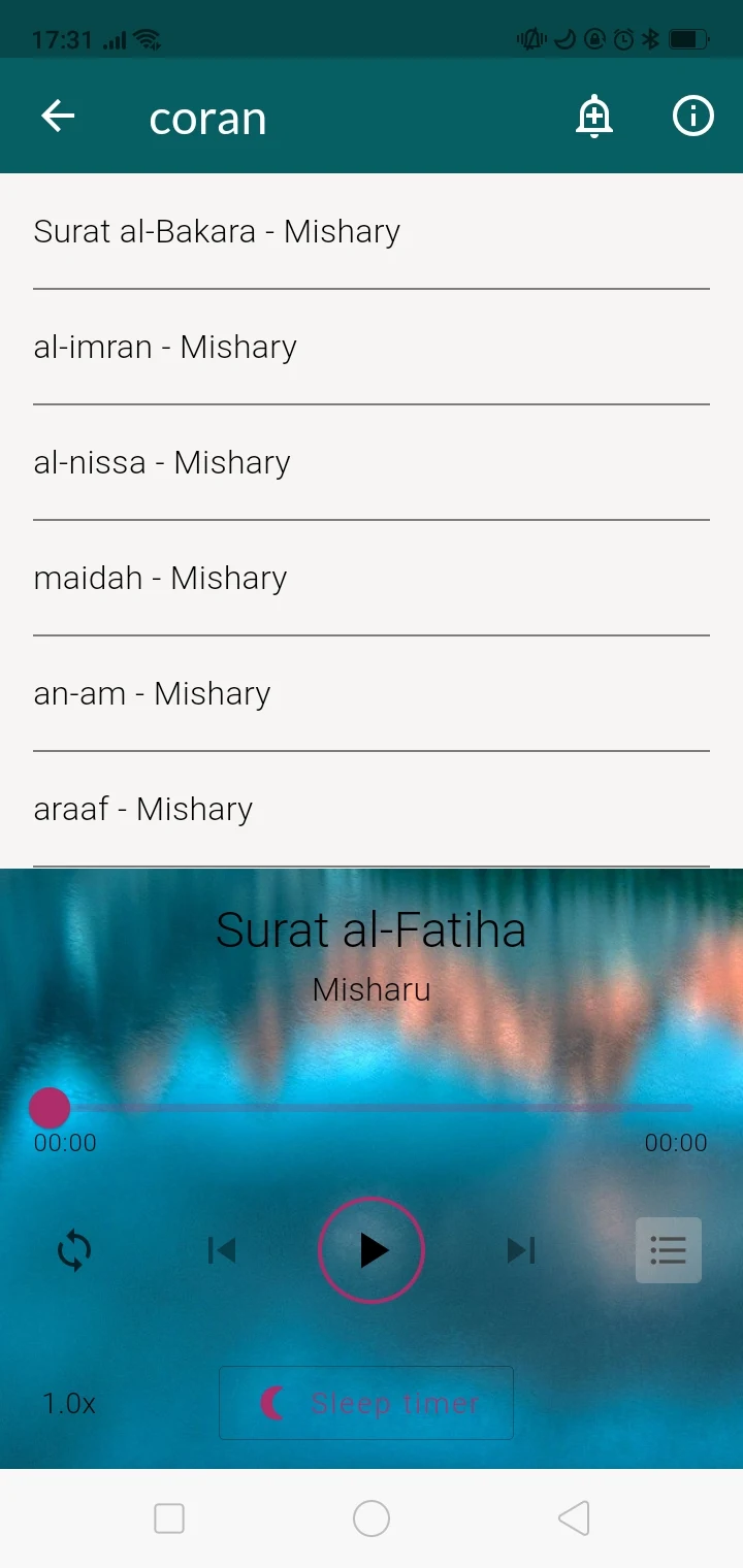 Quran for sleeping & relaxing screenshot
